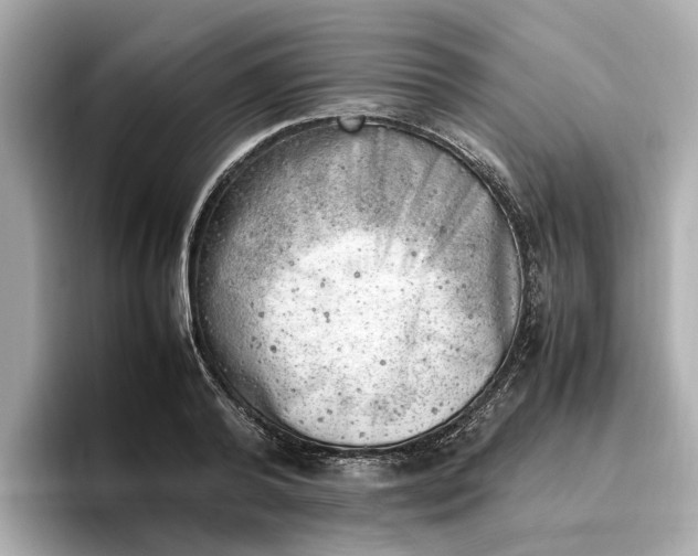 X0000096960792200802221341