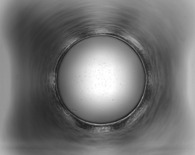 X0000096960793200802221341