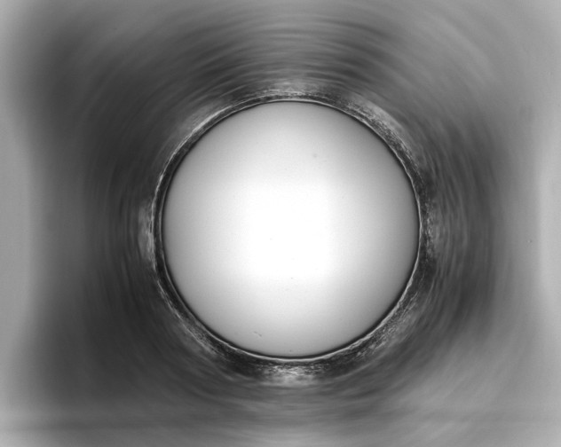 X0000096960794200802221341