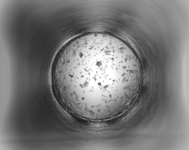 X0000096960795200802221341