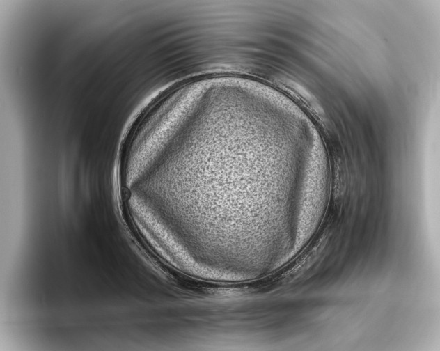 X0000096960796200802221341