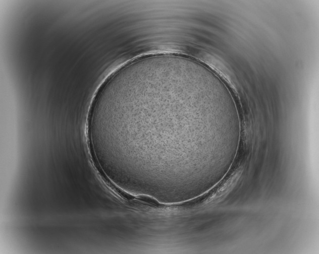 X0000096960797200802221341