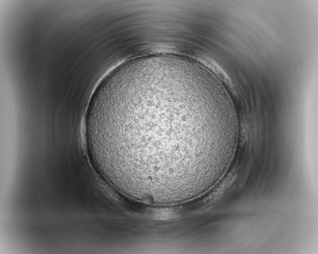 X0000096960798200802221341