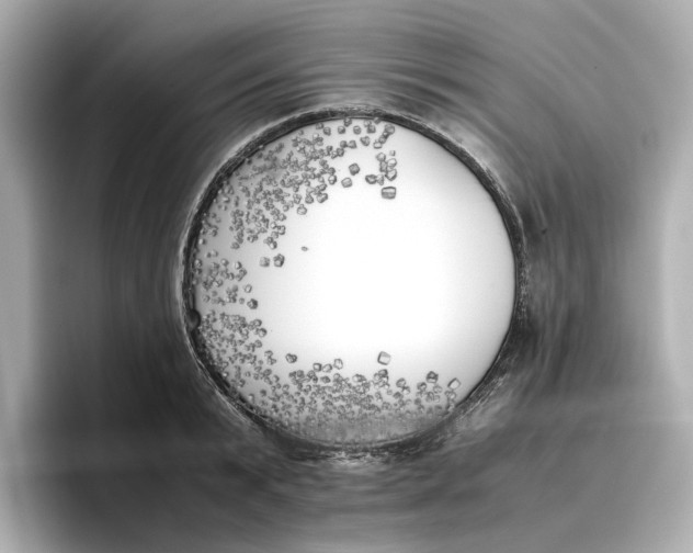 X0000096960799200802221341