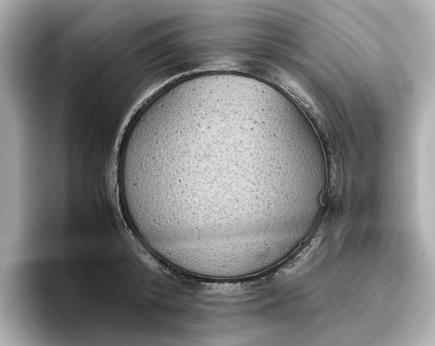 X0000096960800200802221341