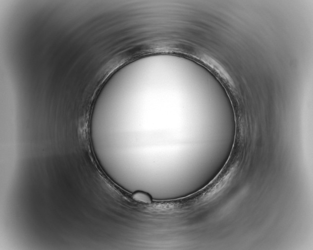 X0000096960801200802221341