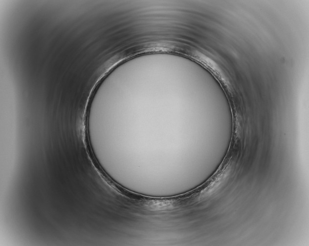 X0000096960802200802221341