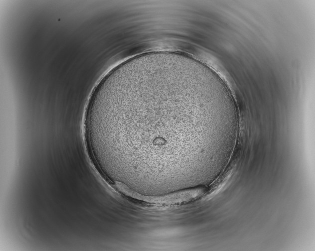 X0000096960803200802221341