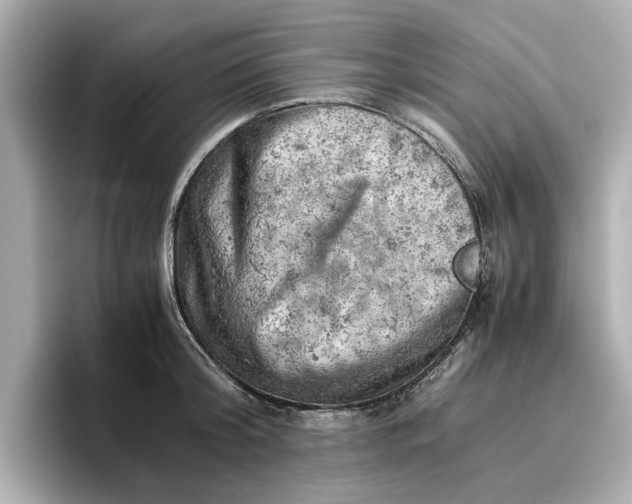 X0000096960804200802221341