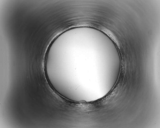 X0000096960805200802221341