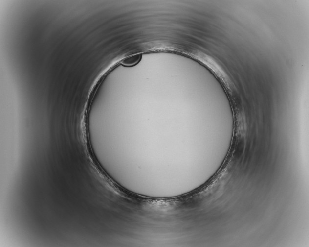 X0000096960806200802221341