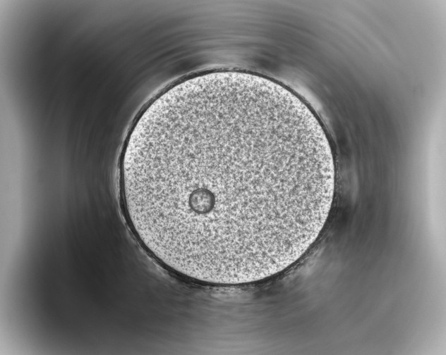 X0000096960807200802221341