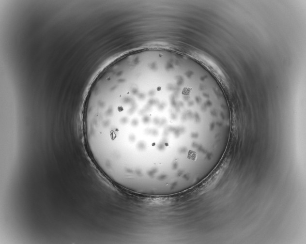 X0000096960808200802221341