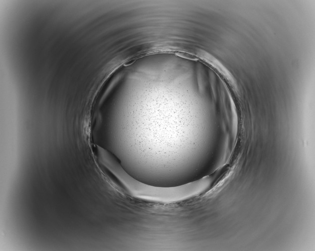 X0000096960809200802221341