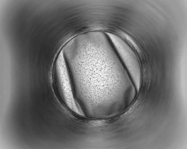 X0000096960810200802221341