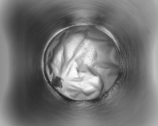 X0000096960811200802221341