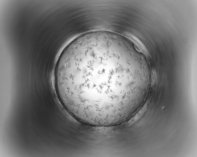 X0000096960812200802221341