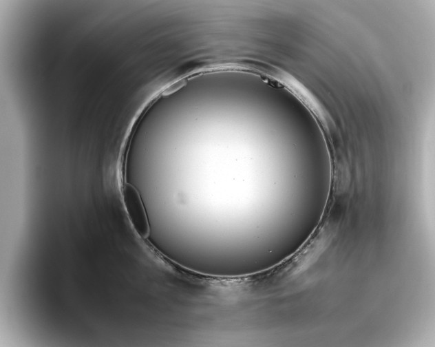 X0000096960813200802221341