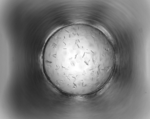 X0000096960814200802221341