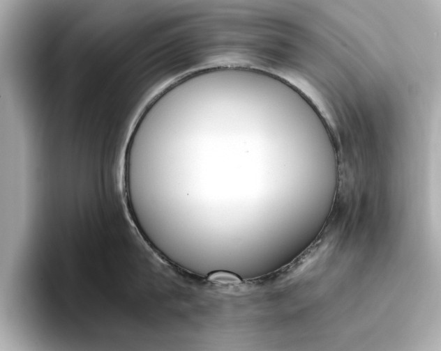 X0000096960815200802221341