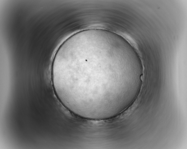 X0000096960816200802221341