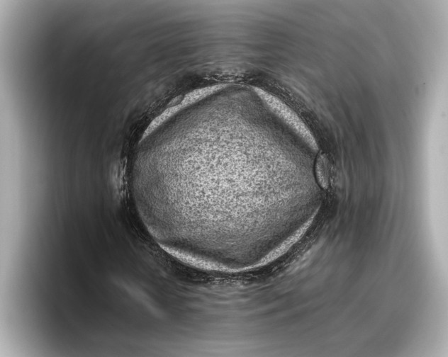 X0000096960818200802221340