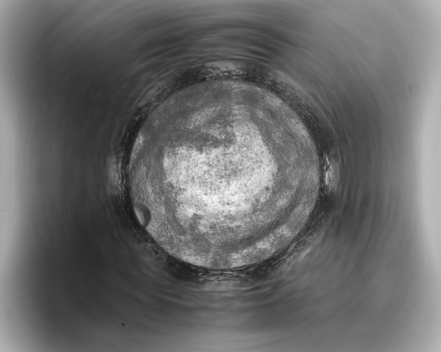 X0000096960819200802221340