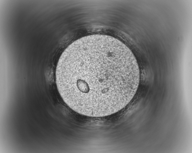 X0000096960820200802221340