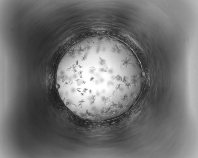 X0000096960821200802221340