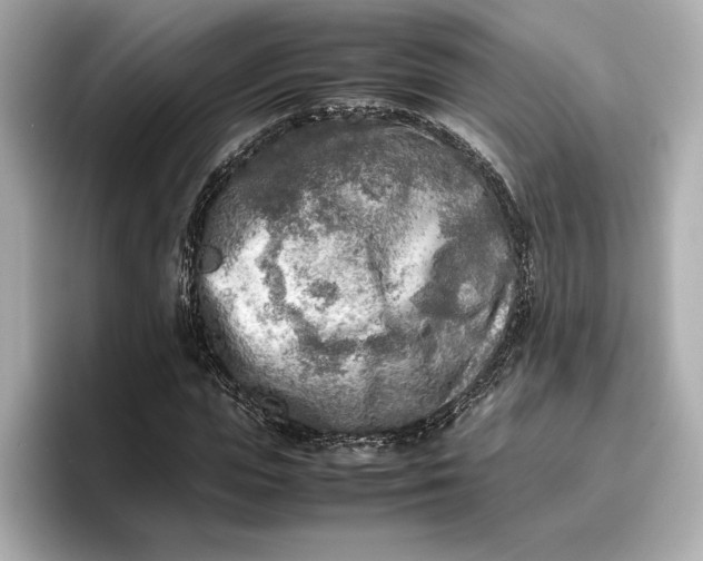 X0000096960823200802221340