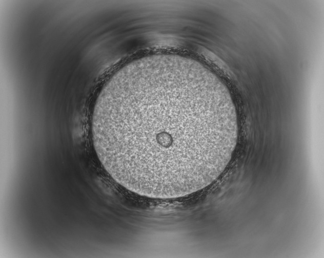 X0000096960824200802221340