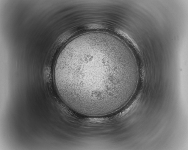 X0000096960825200802221340