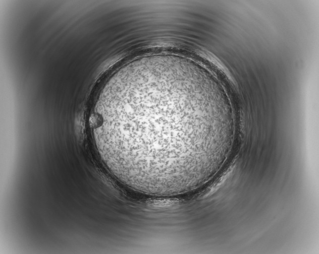 X0000096960826200802221340