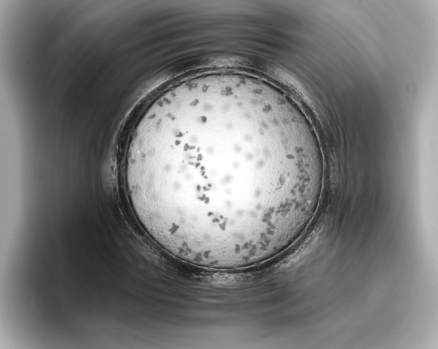 X0000096960827200802221340