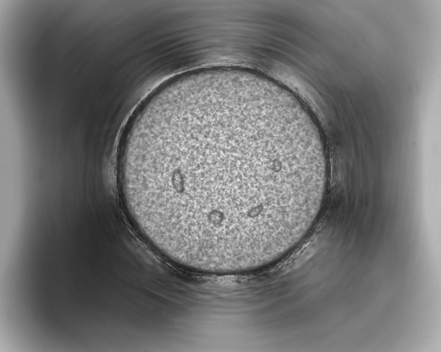 X0000096960828200802221340