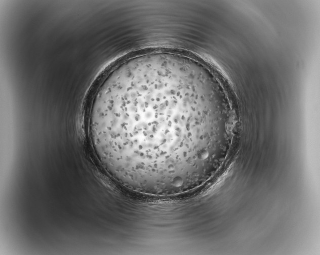 X0000096960830200802221340