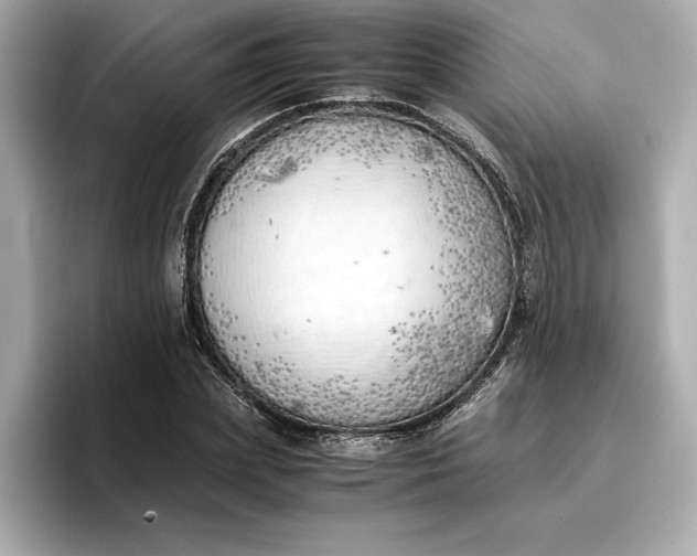 X0000096960831200802221340