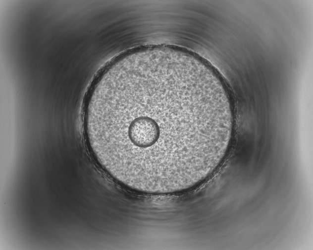 X0000096960832200802221340