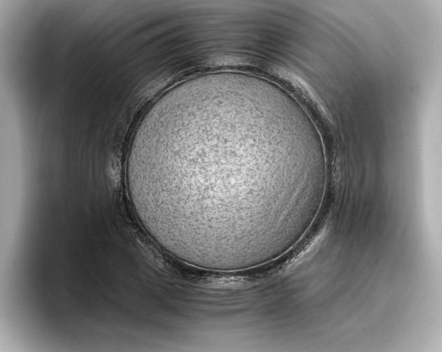 X0000096960833200802221340