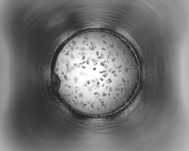 X0000096960834200802221340