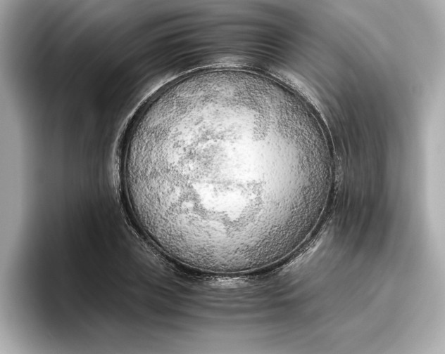 X0000096960835200802221340