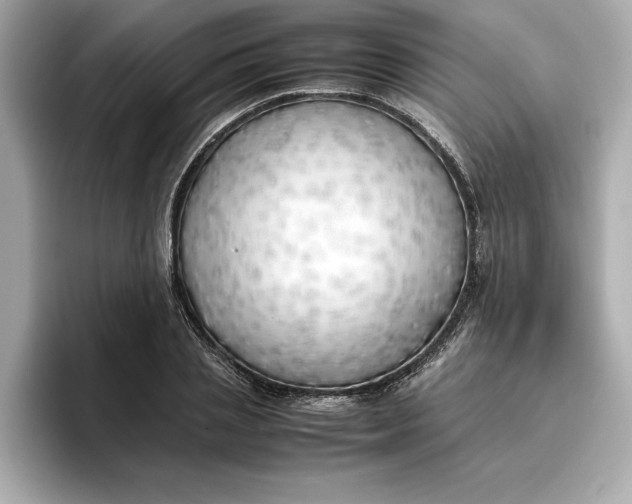 X0000096960837200802221340