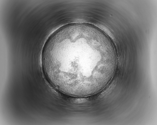 X0000096960839200802221340