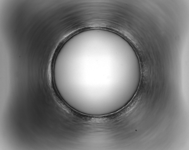 X0000096960840200802221340