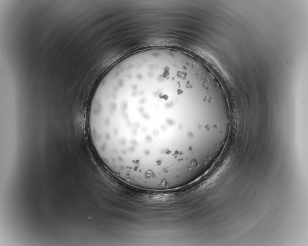 X0000096960841200802221340