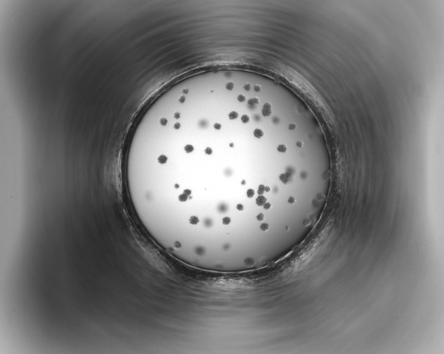 X0000096960842200802221340