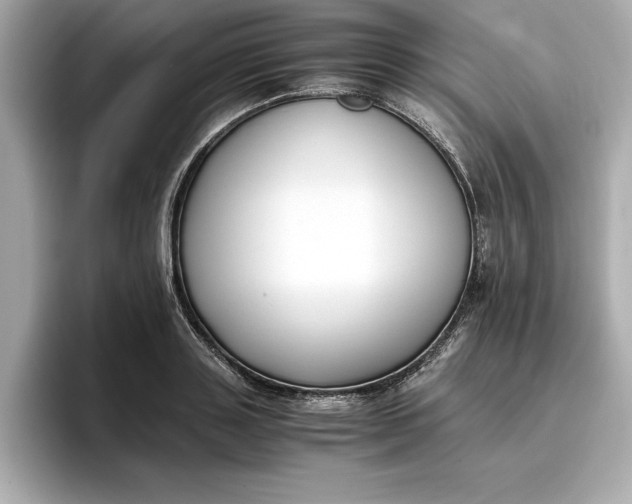 X0000096960843200802221340