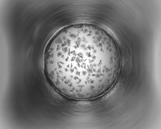 X0000096960844200802221340