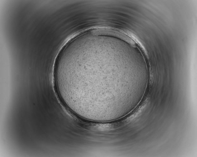 X0000096960845200802221340