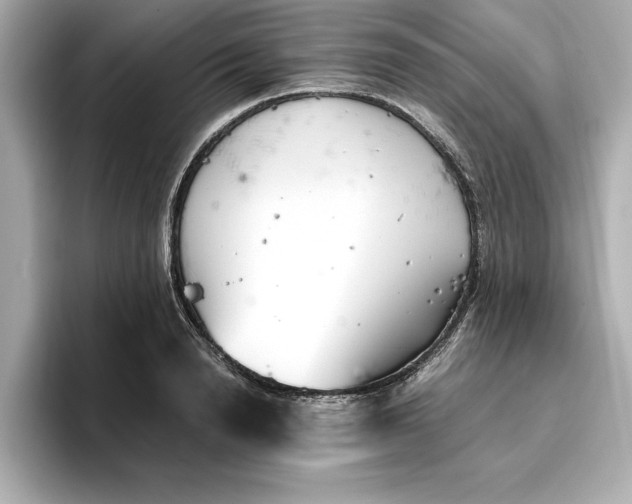 X0000096960846200802221341